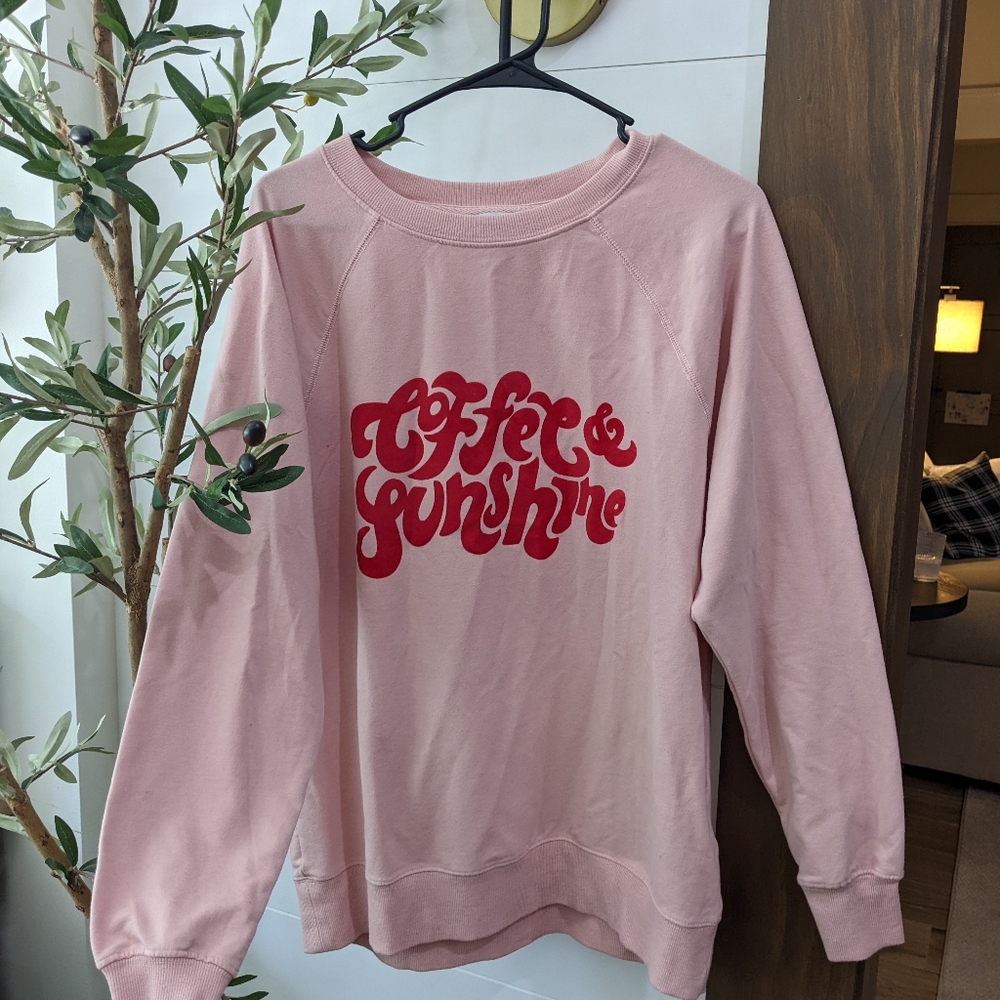 Wildfox sweatshirt